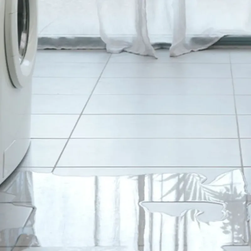 Appliance Leak Cleanup in Knightstown, IN