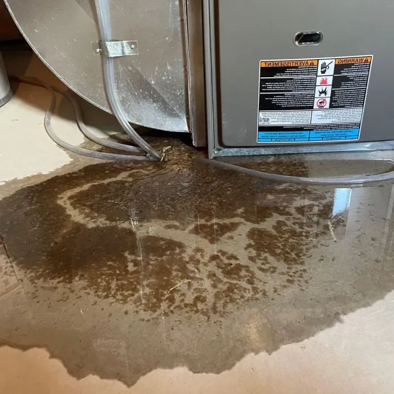 Pipe Burst and Leak Restoration in Knightstown, IN
