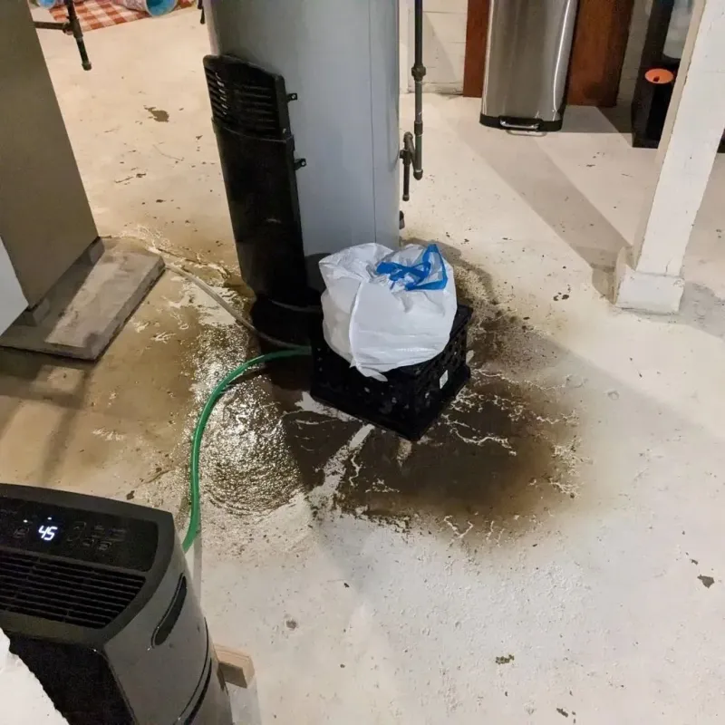 Sewage Backup Cleanup Service in Knightstown, IN